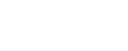 Logo Skechers wht